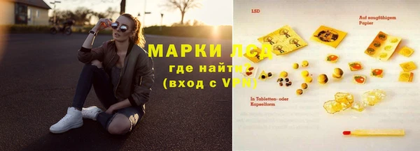 прущие грибы Карталы