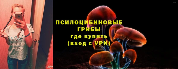 молекула духа Карпинск