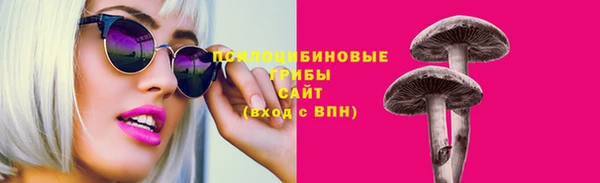 каннабис Каменногорск