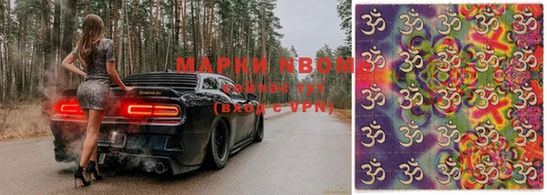 прущие грибы Карталы