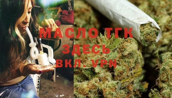 прущие грибы Карталы