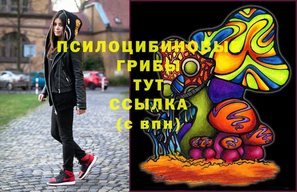 молекула духа Карпинск