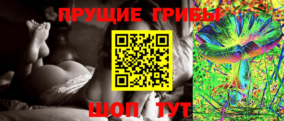 Галлюциногенные грибы Psilocybe Юрга