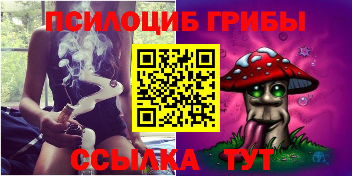 Юрга  Псилоцибиновые грибы Psilocybe  Вход с VPN 